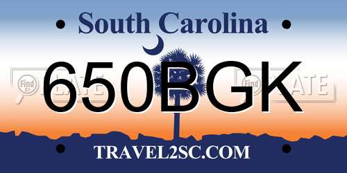 650BGK South Carolina License Plate