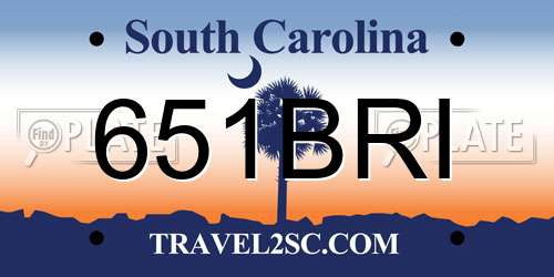 651BRI South Carolina License Plate