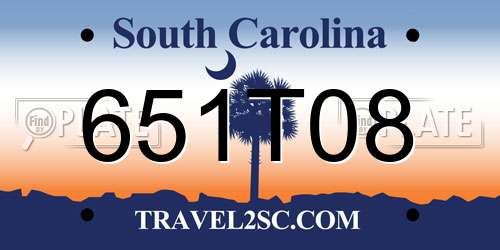651T08 South Carolina License Plate