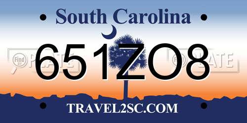 651ZO8 South Carolina License Plate