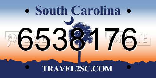 6538176 South Carolina License Plate