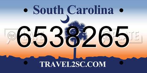 6538265 South Carolina License Plate