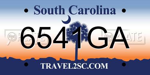 6541GA South Carolina License Plate