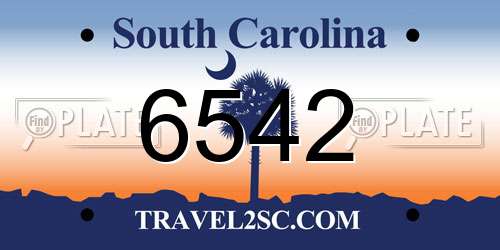 6542 South Carolina License Plate