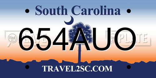 654AUO South Carolina License Plate