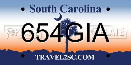 654GIA South Carolina License Plate
