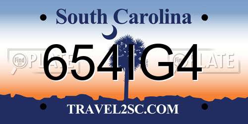 654IG4 South Carolina License Plate