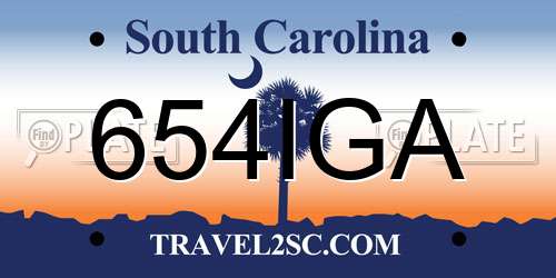 654IGA South Carolina License Plate
