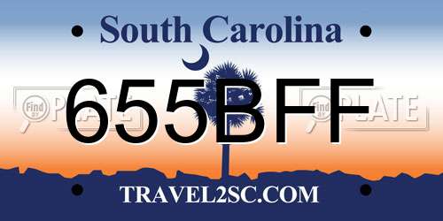 655BFF South Carolina License Plate