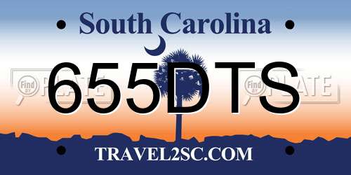 655DTS South Carolina License Plate