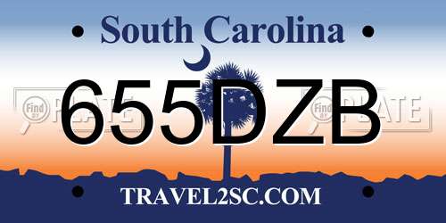 655DZB South Carolina License Plate