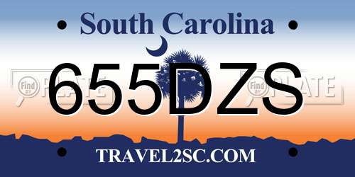 655DZS South Carolina License Plate