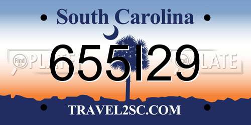 655I29 South Carolina License Plate