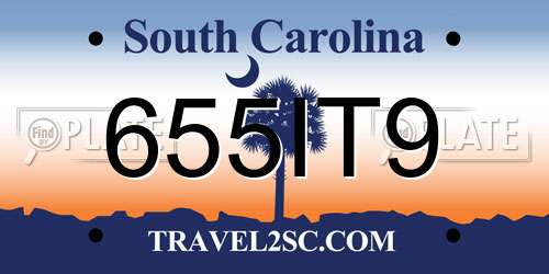 655IT9 South Carolina License Plate