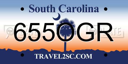 655OGR South Carolina License Plate