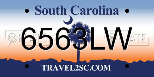 6563LW South Carolina License Plate