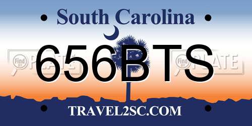 656BTS South Carolina License Plate