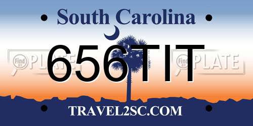 656TIT South Carolina License Plate