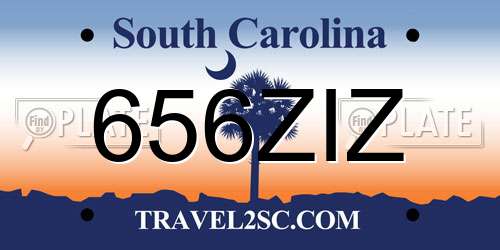 656ZIZ South Carolina License Plate