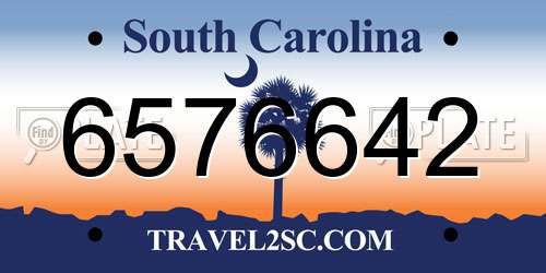 6576642 South Carolina License Plate