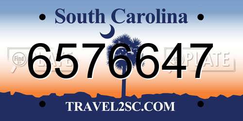 6576647 South Carolina License Plate