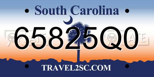 65825Q0 South Carolina License Plate