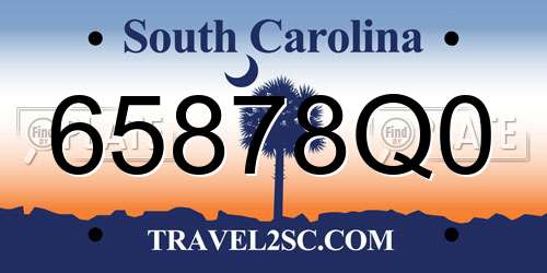 65878Q0 South Carolina License Plate