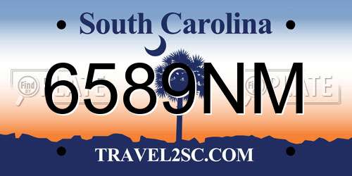 6589NM South Carolina License Plate