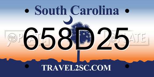 658D25 South Carolina License Plate