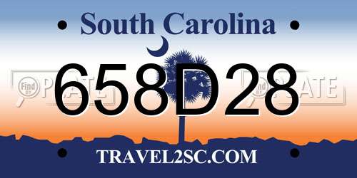 658D28 South Carolina License Plate