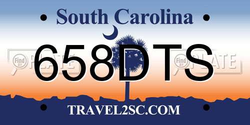 658DTS South Carolina License Plate