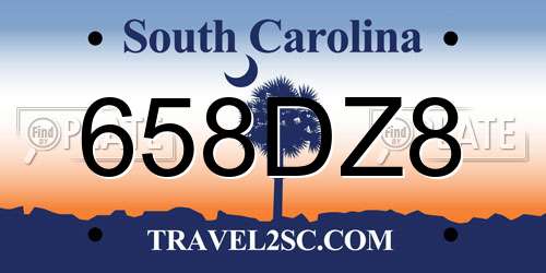 658DZ8 South Carolina License Plate