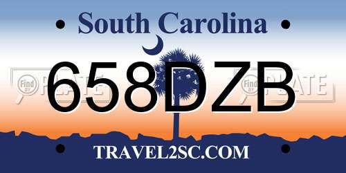 658DZB South Carolina License Plate