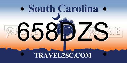 658DZS South Carolina License Plate