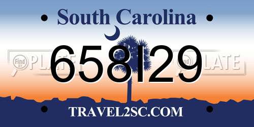 658I29 South Carolina License Plate