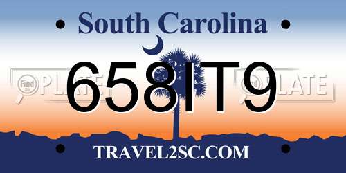 658IT9 South Carolina License Plate