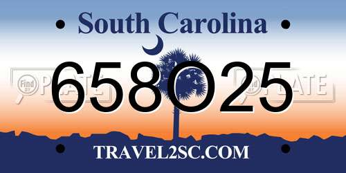 658O25 South Carolina License Plate
