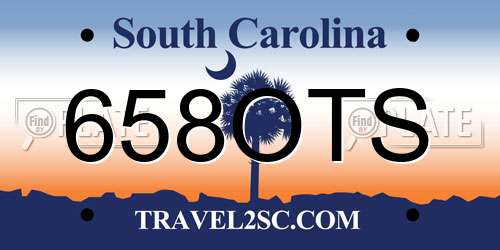 658OTS South Carolina License Plate