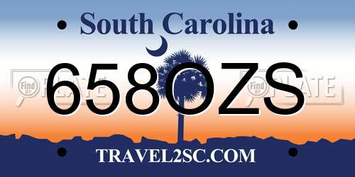 658OZS South Carolina License Plate