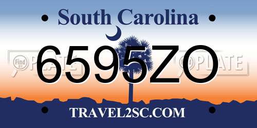 6595ZO South Carolina License Plate