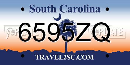6595ZQ South Carolina License Plate