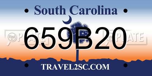659B20 South Carolina License Plate