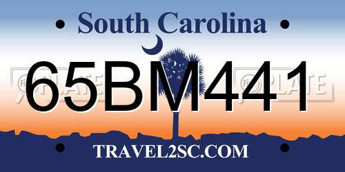 65BM441 South Carolina License Plate