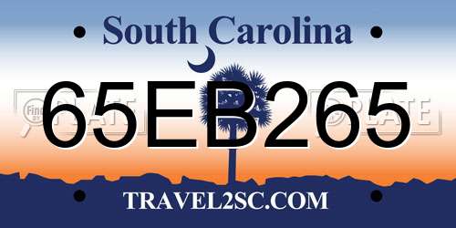 65EB265 South Carolina License Plate
