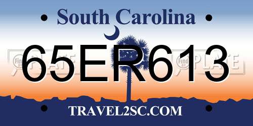 65ER613 South Carolina License Plate