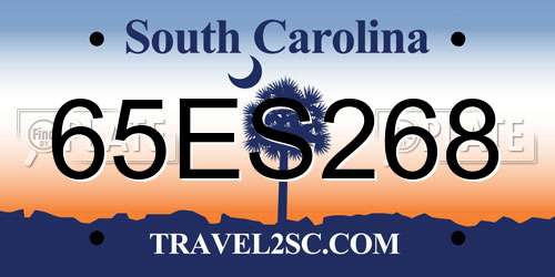 65ES268 South Carolina License Plate