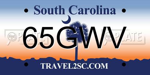 65GWV South Carolina License Plate