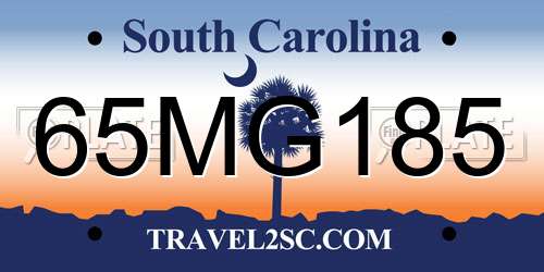 65MG185 South Carolina License Plate