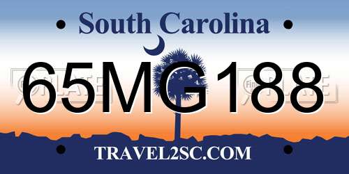 65MG188 South Carolina License Plate