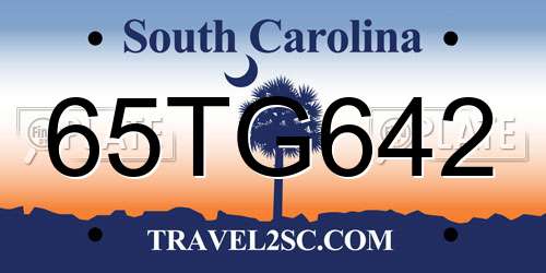 65TG642 South Carolina License Plate